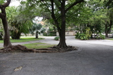 Enlarge photo 157