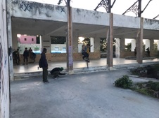 Enlarge photo 110