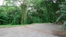 Enlarge photo 100