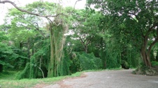 Enlarge photo 41