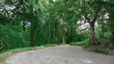 Enlarge photo 42