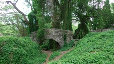 Enlarge photo 43