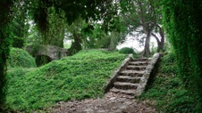 Enlarge photo 44