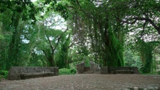 Enlarge photo 45