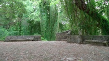 Enlarge photo 47