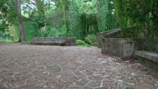 Enlarge photo 49