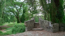 Enlarge photo 51