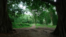 Enlarge photo 52