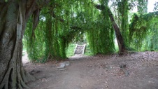 Enlarge photo 53