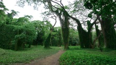 Enlarge photo 54