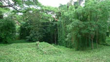 Enlarge photo 55