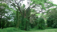 Enlarge photo 56