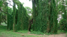Enlarge photo 57