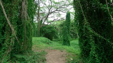 Enlarge photo 58
