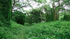 Enlarge photo 59