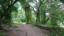 Enlarge photo 60