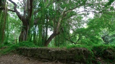 Enlarge photo 61
