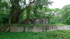 Enlarge photo 62
