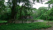 Enlarge photo 63