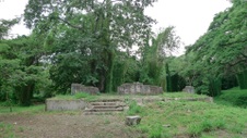 Enlarge photo 64