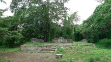 Enlarge photo 65