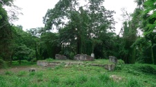 Enlarge photo 66