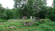 Enlarge photo 67