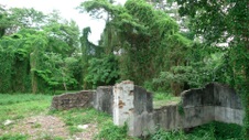 Enlarge photo 68