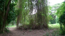 Enlarge photo 69