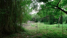 Enlarge photo 70