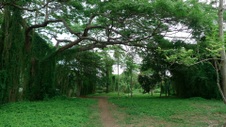 Enlarge photo 71