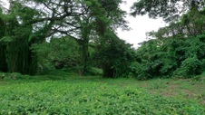 Enlarge photo 72