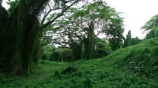 Enlarge photo 73