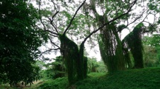 Enlarge photo 74
