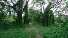 Enlarge photo 75