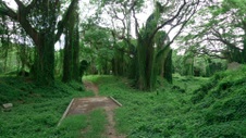Enlarge photo 76