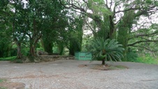 Enlarge photo 79