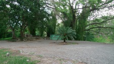 Enlarge photo 80