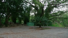 Enlarge photo 81