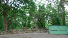 Enlarge photo 82