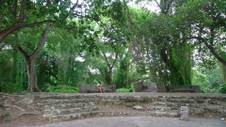 Enlarge photo 85