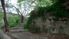Enlarge photo 86