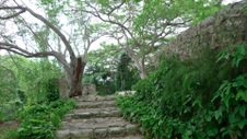 Enlarge photo 88