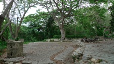 Enlarge photo 89