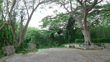 Enlarge photo 90