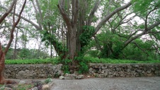 Enlarge photo 91