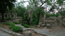 Enlarge photo 92
