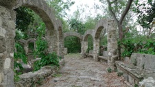 Enlarge photo 93