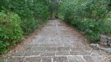 Enlarge photo 96