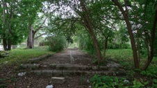 Enlarge photo 98